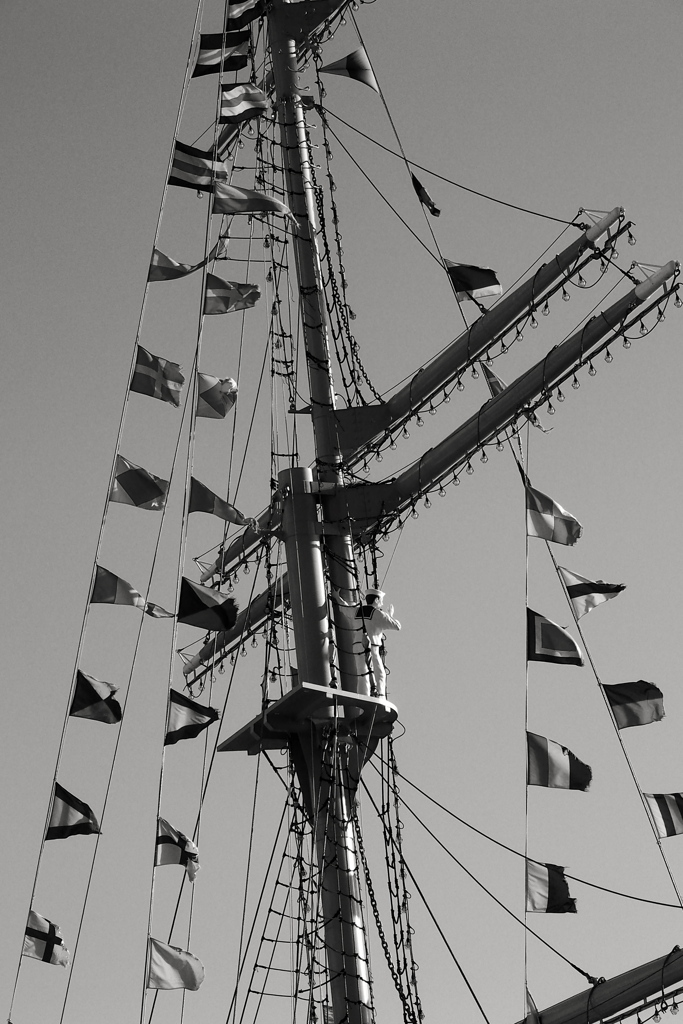 FLAGS