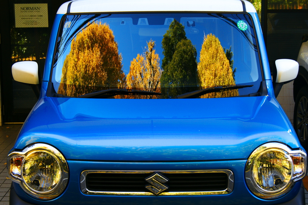 車に紅葉