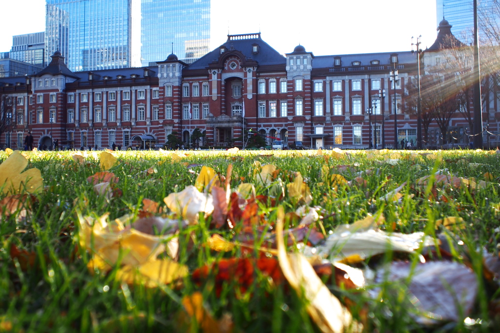 秋の東京駅
