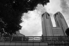 議事堂通りから