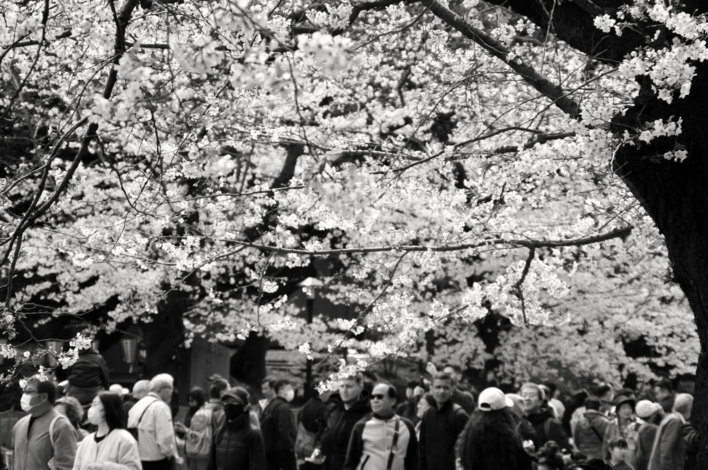 上野公園