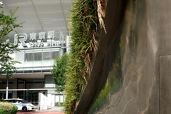 TOKYO STATION