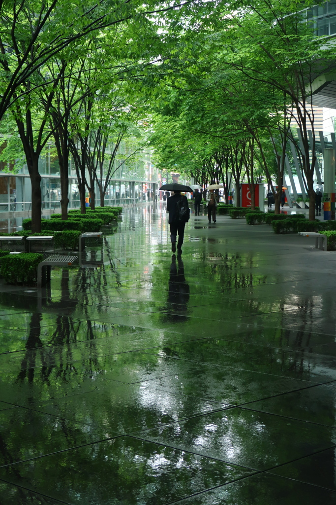 雨の国際フォーラム