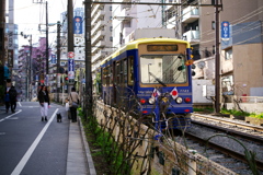 Tokyo Sakura Tram