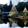 朝の日比谷公園