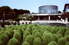 花の美術館 (FILM)