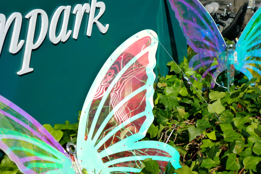 Butterfly