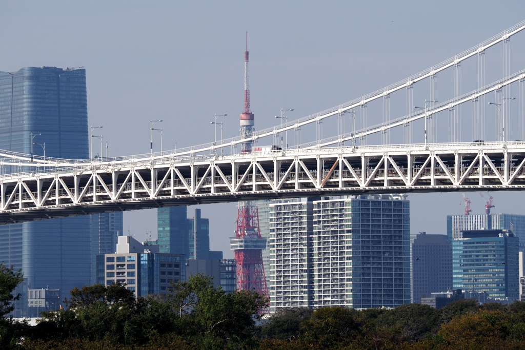 レインボーブリッジと東京タワー