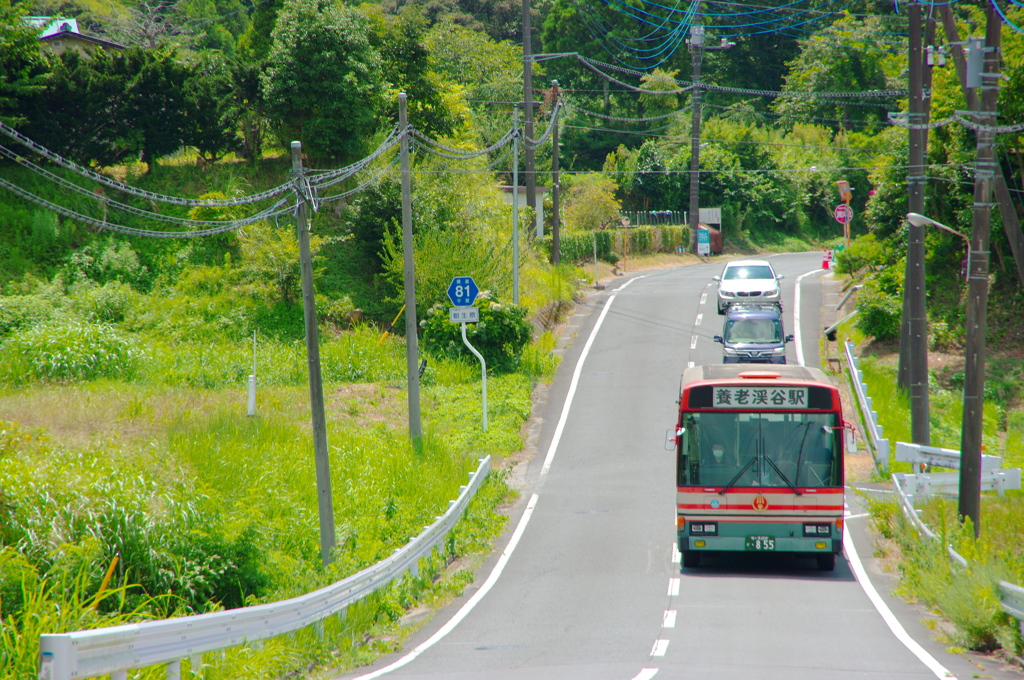 県道81