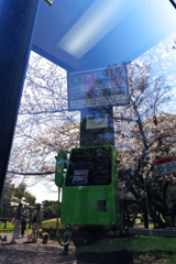 電話ボックスと桜