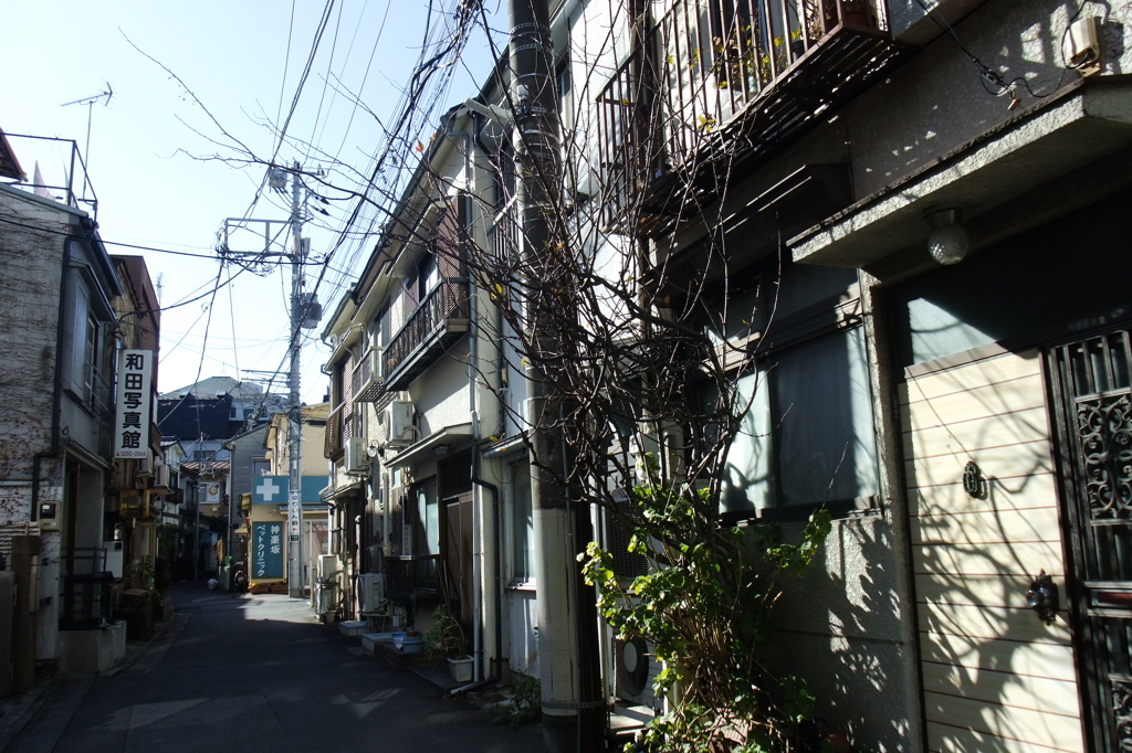 写真館