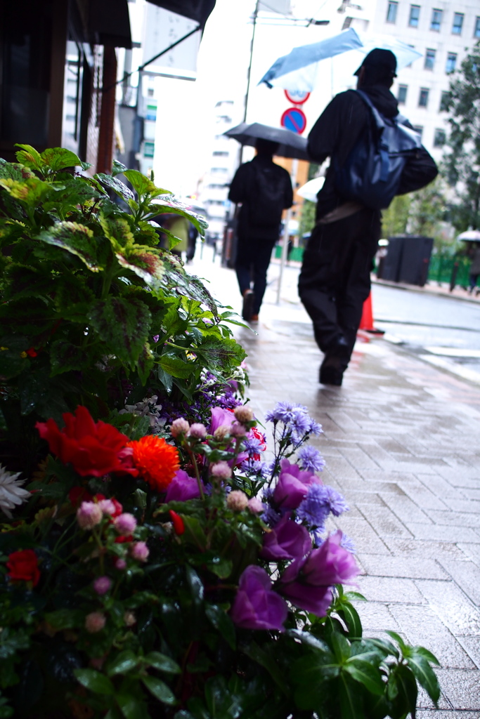 雨の日