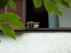 目が合った