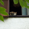 目が合った