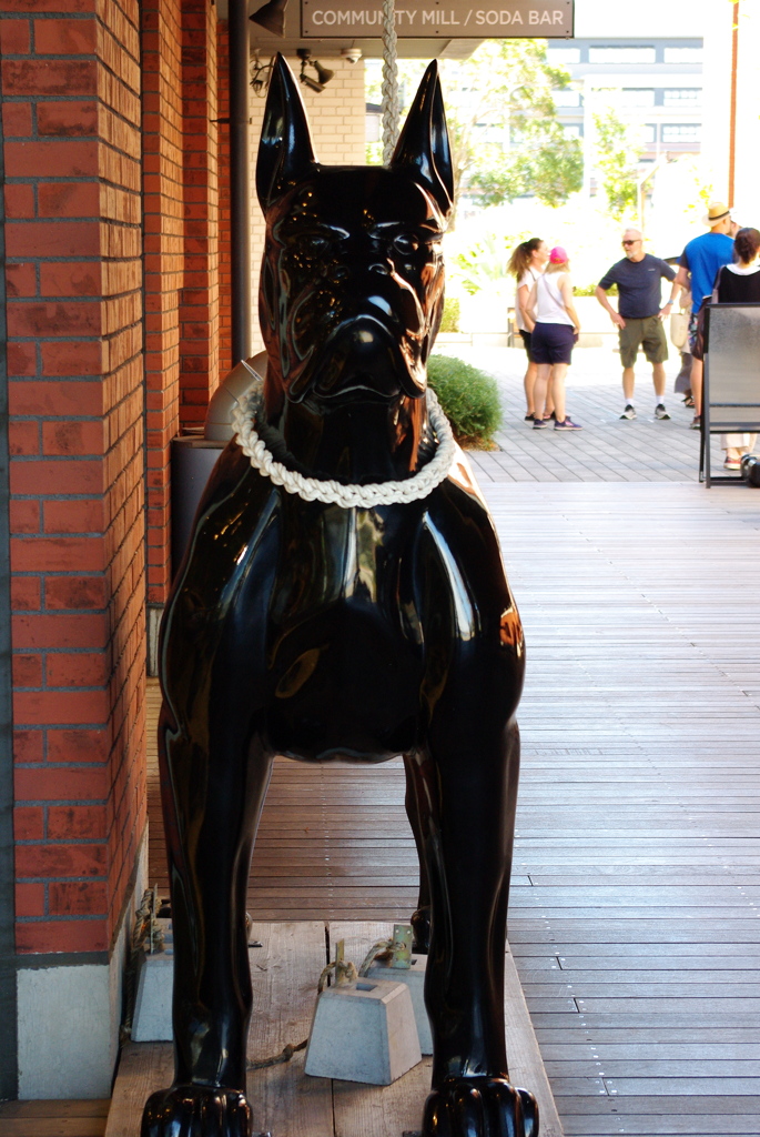 BLACK DOG