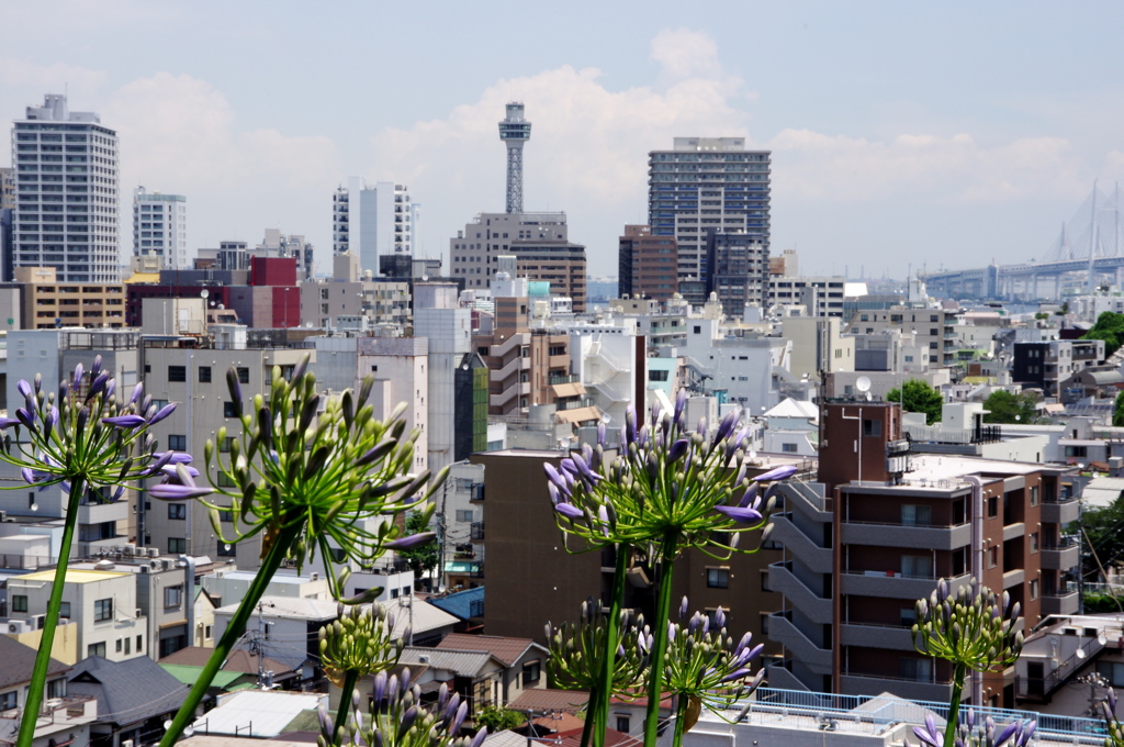 YOKOHAMA