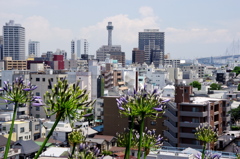 YOKOHAMA