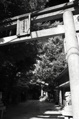 銀杏岡八幡神社