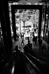 WITH HARAJUKU WITH HARAJUKU