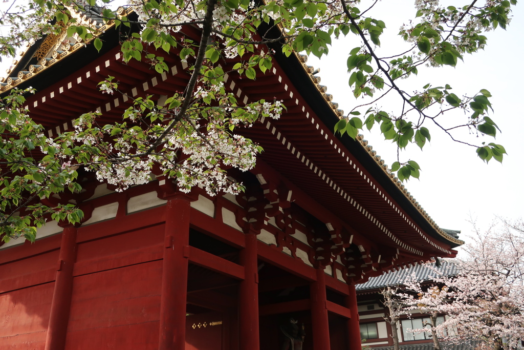 旧台徳院霊廟惣門