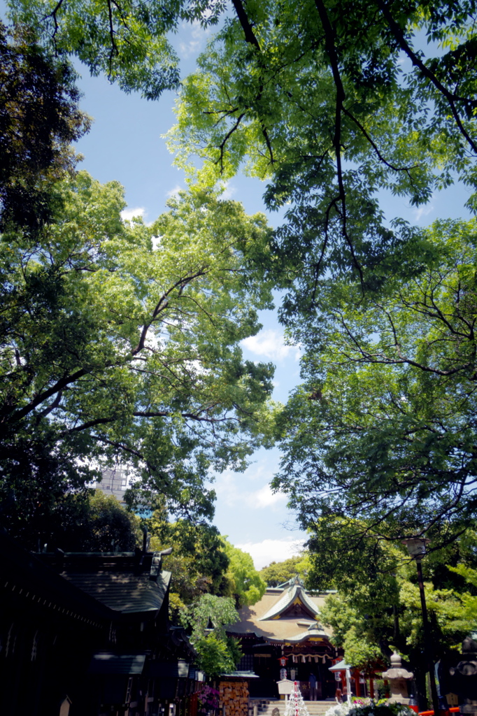 千葉神社