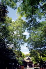 千葉神社