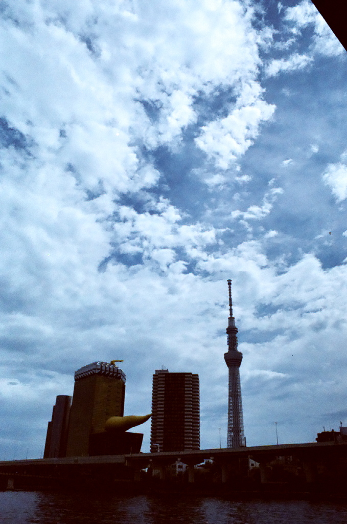 SKY (FILM)