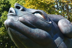 ムー大陸よりⅡ