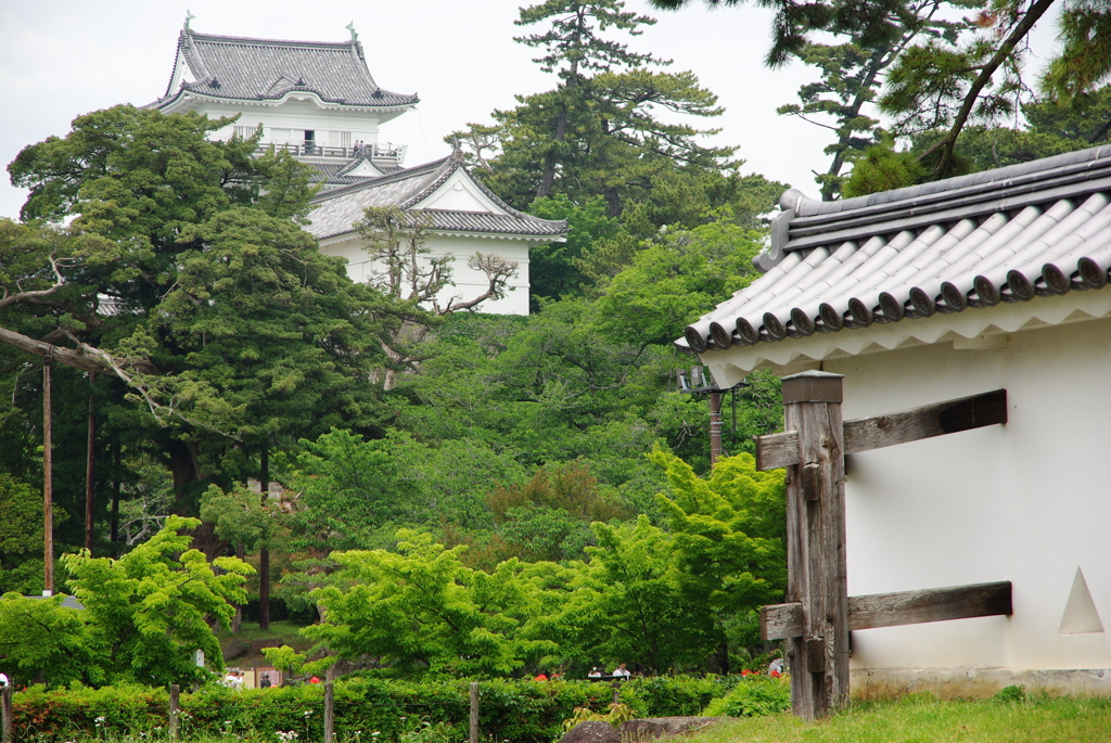 小田原城