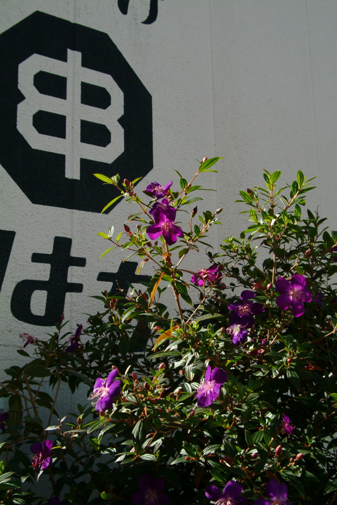 串