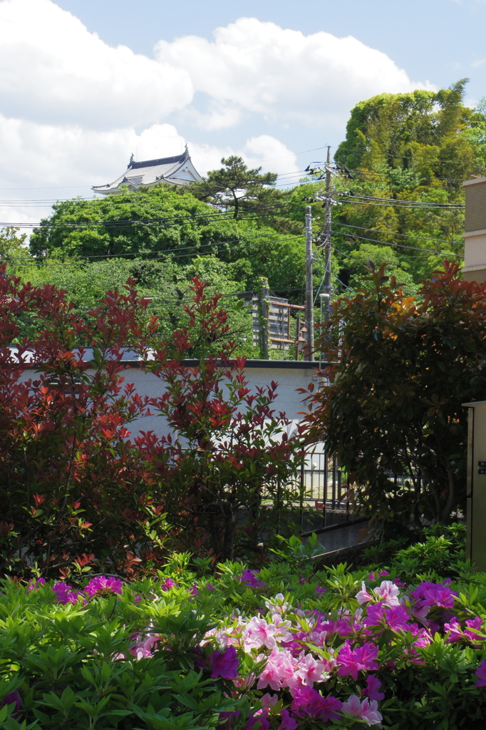 亥鼻城を望む