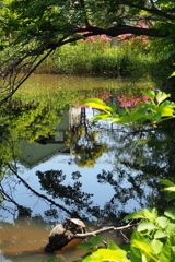 境内の池