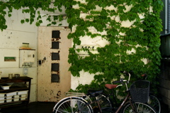 事務所の扉 事務所の扉