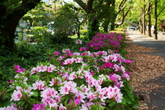 芝公園