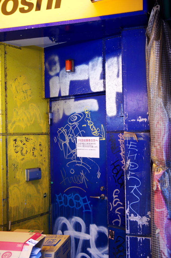 BLUE DOOR