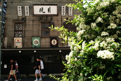 もんじゃ