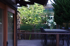 カフェ横を走る江ノ電