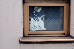 窓の猫