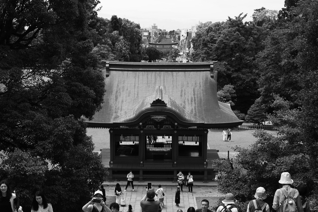 八幡宮から若宮大路