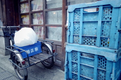 菊正宗