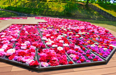 花手水
