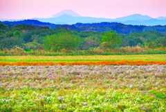 富岳遠望