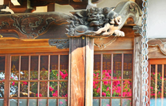 本堂にうつる百日紅