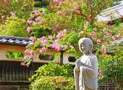 お地蔵様と百日紅