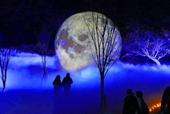 コスモイルミネーション