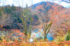 嵐山渓谷晩秋