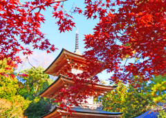 塔と紅葉