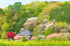 山寺の春