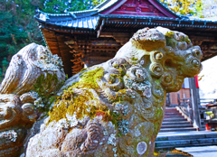 苔のむすまで