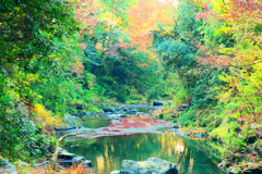 初秋の嵐山渓谷